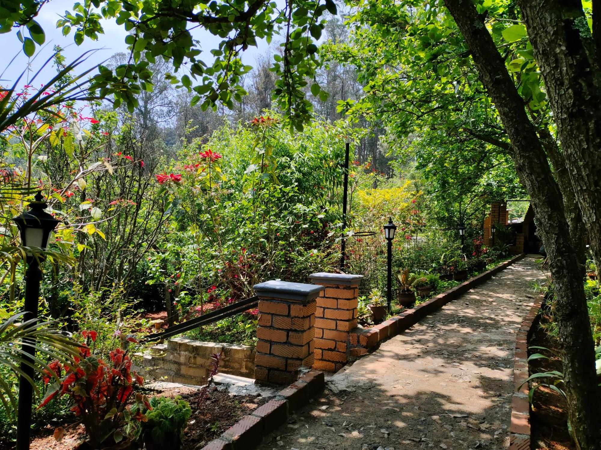 Pear Tree Entire 2Bhk Villa Котагири Экстерьер фото