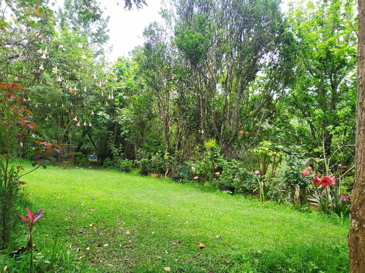 Pear Tree Entire 2Bhk Villa Котагири Экстерьер фото